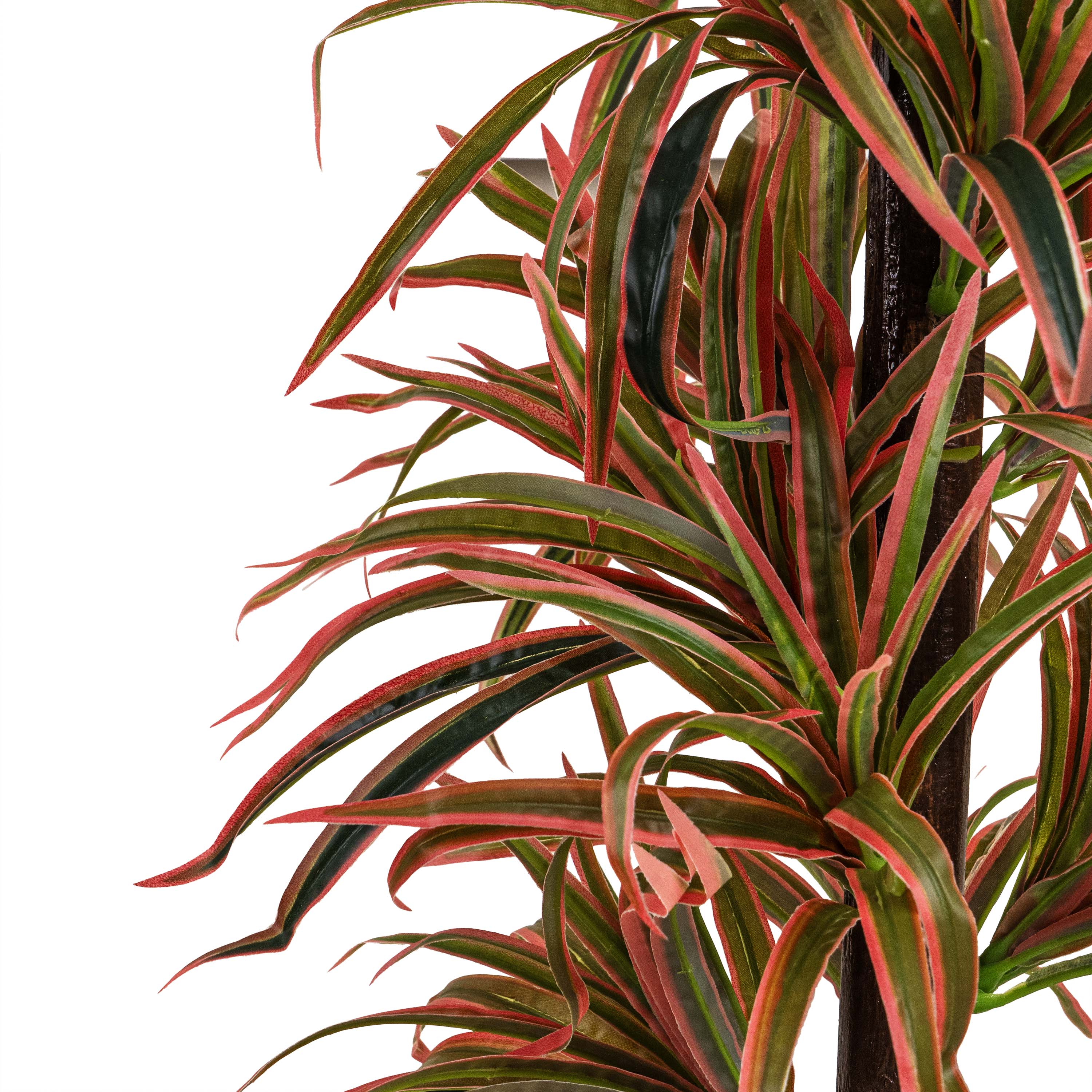 DRAGON TREE FAUX PLANT