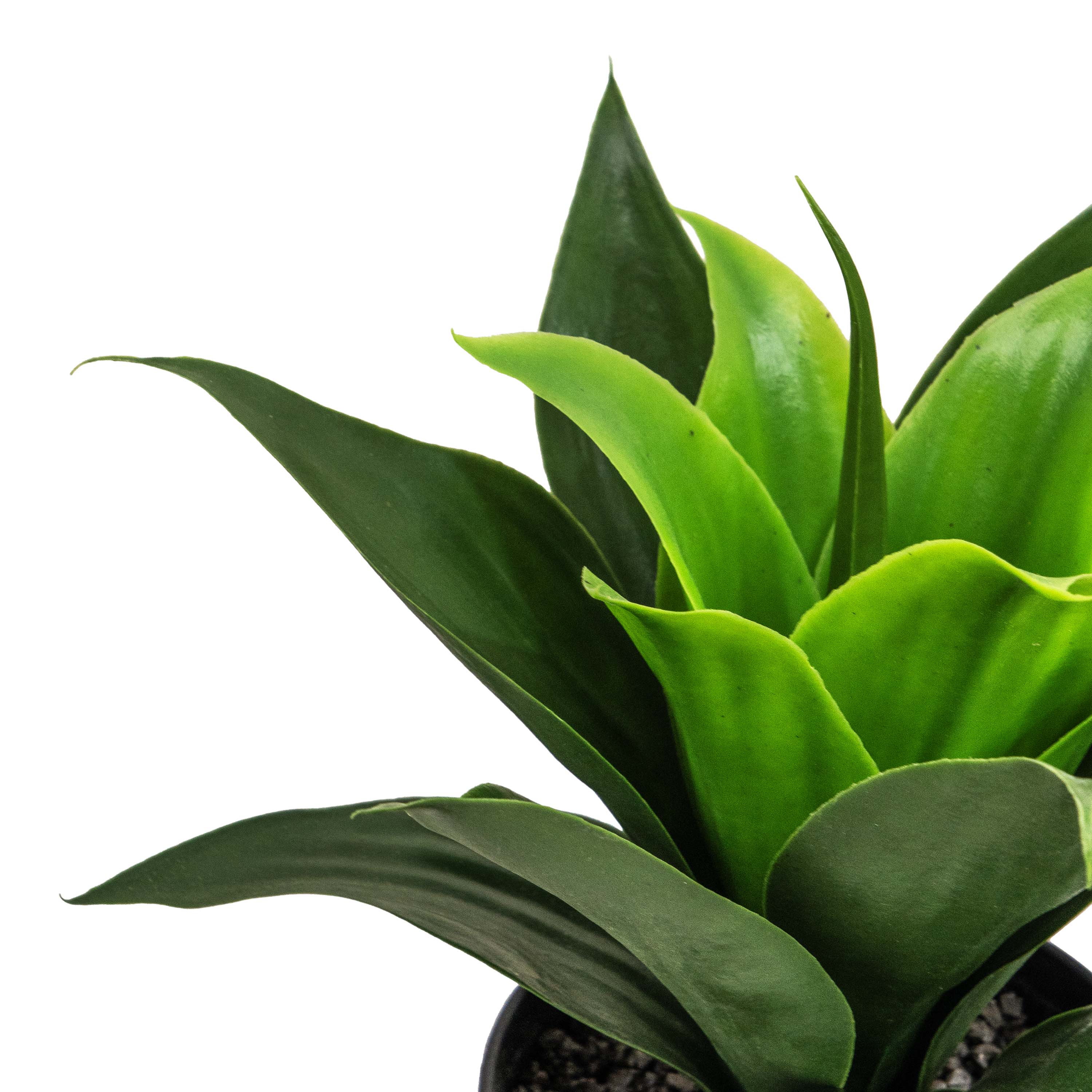 SANSVIERA FAUX PLANT