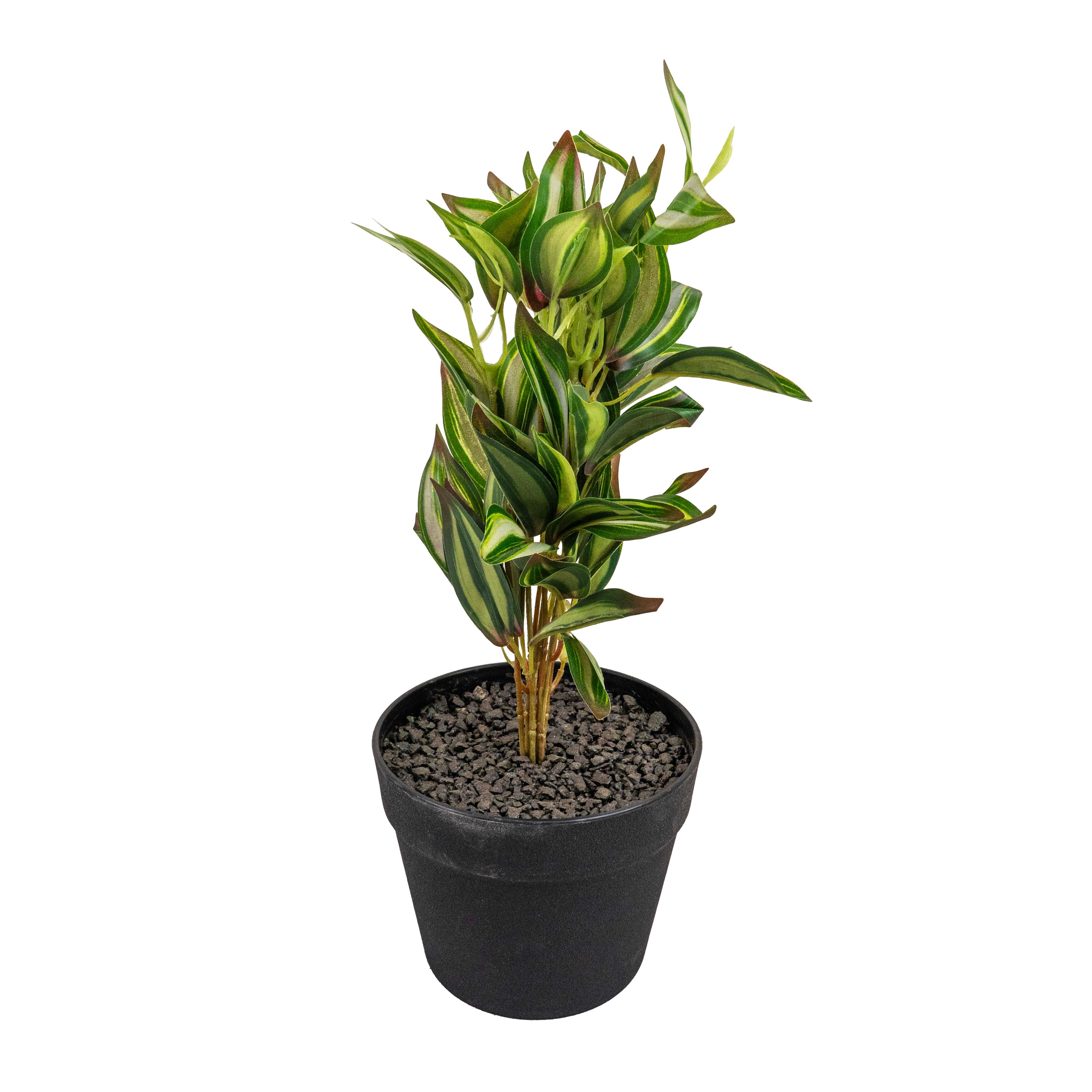 DROP TONGUE FAUX PLANT