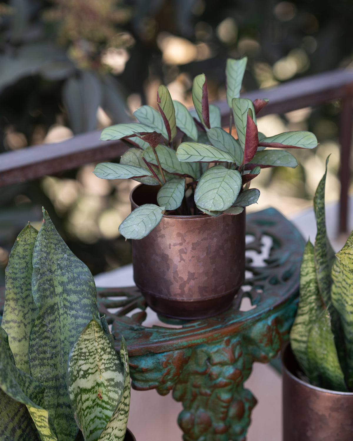 French Cast Iron Planter Stand- Green