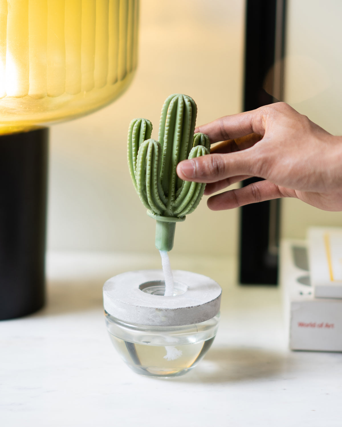 Cactus Diffuser Lavender - 100ml