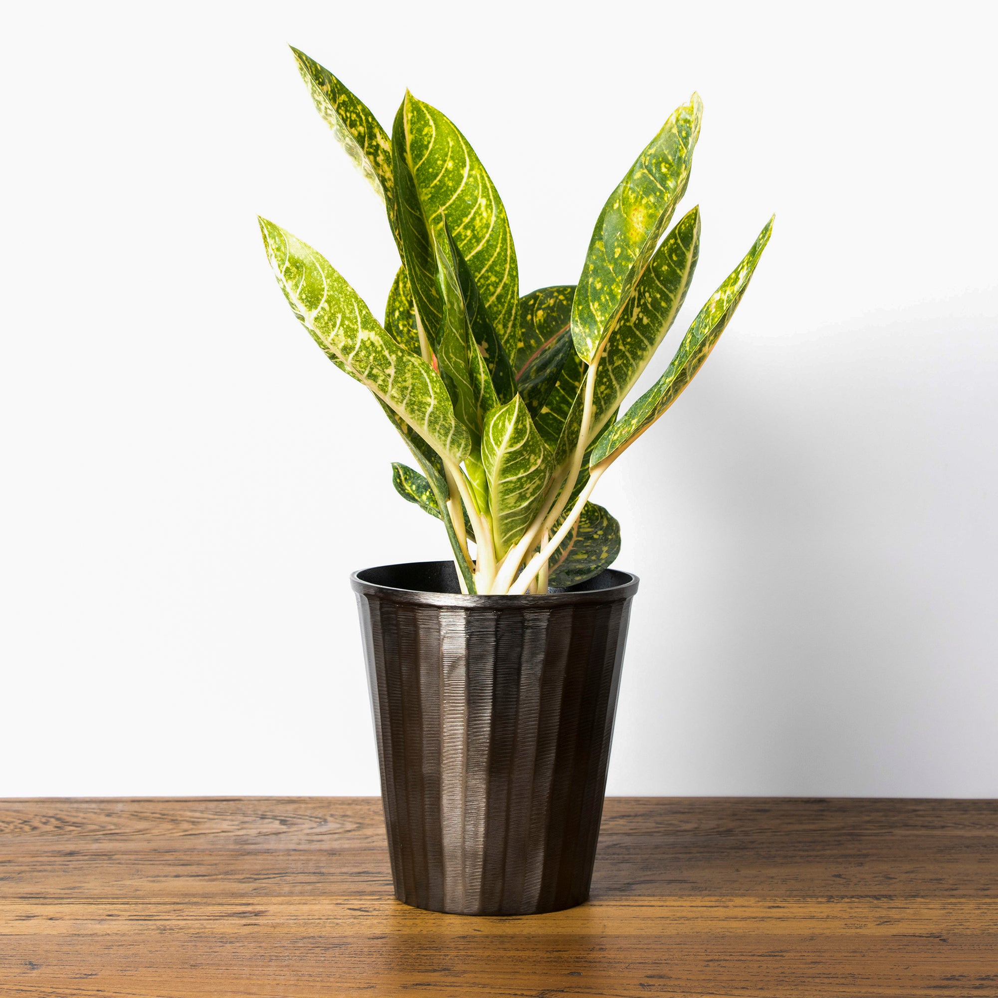Mode planter in smoke gold