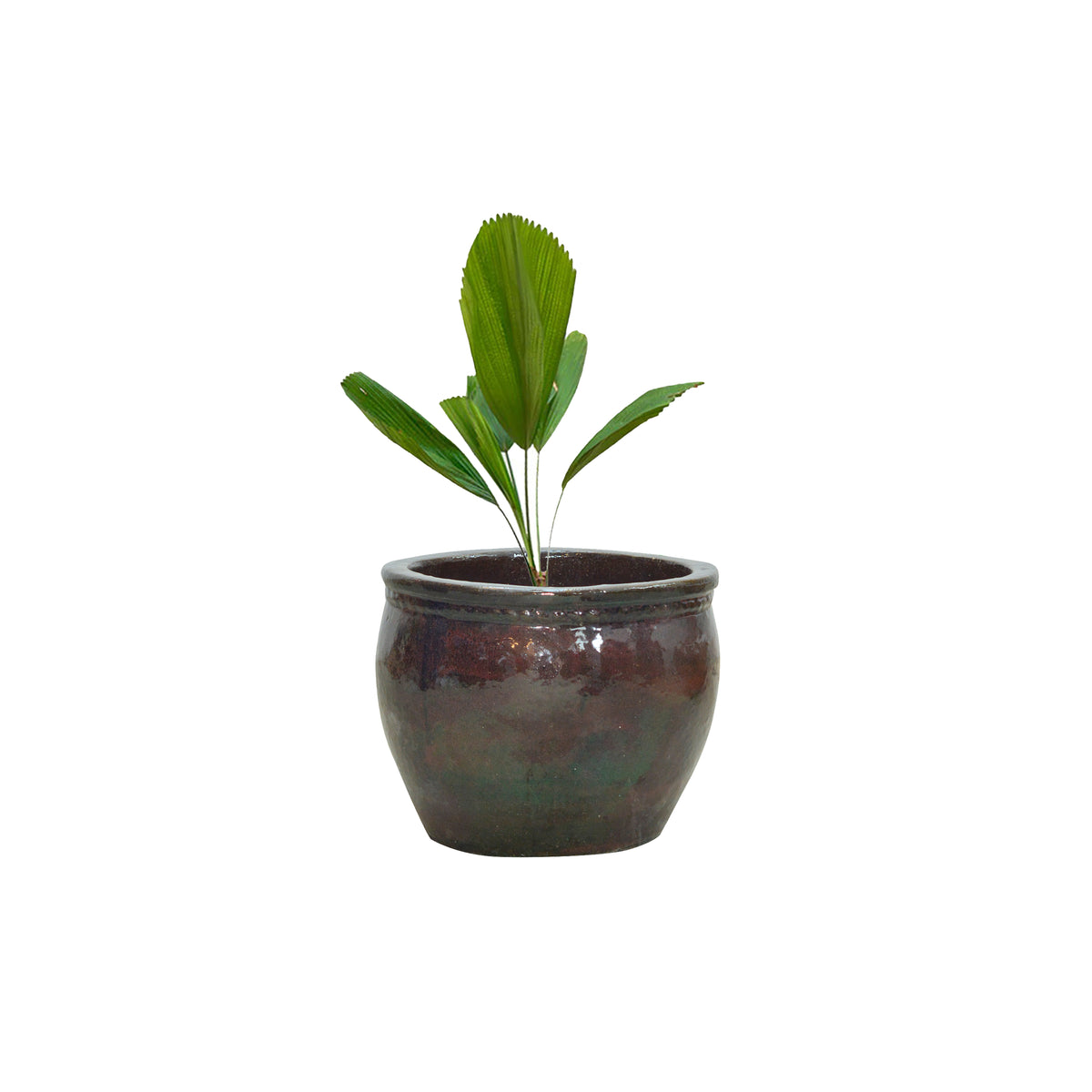 Marie Ceramic Planter
