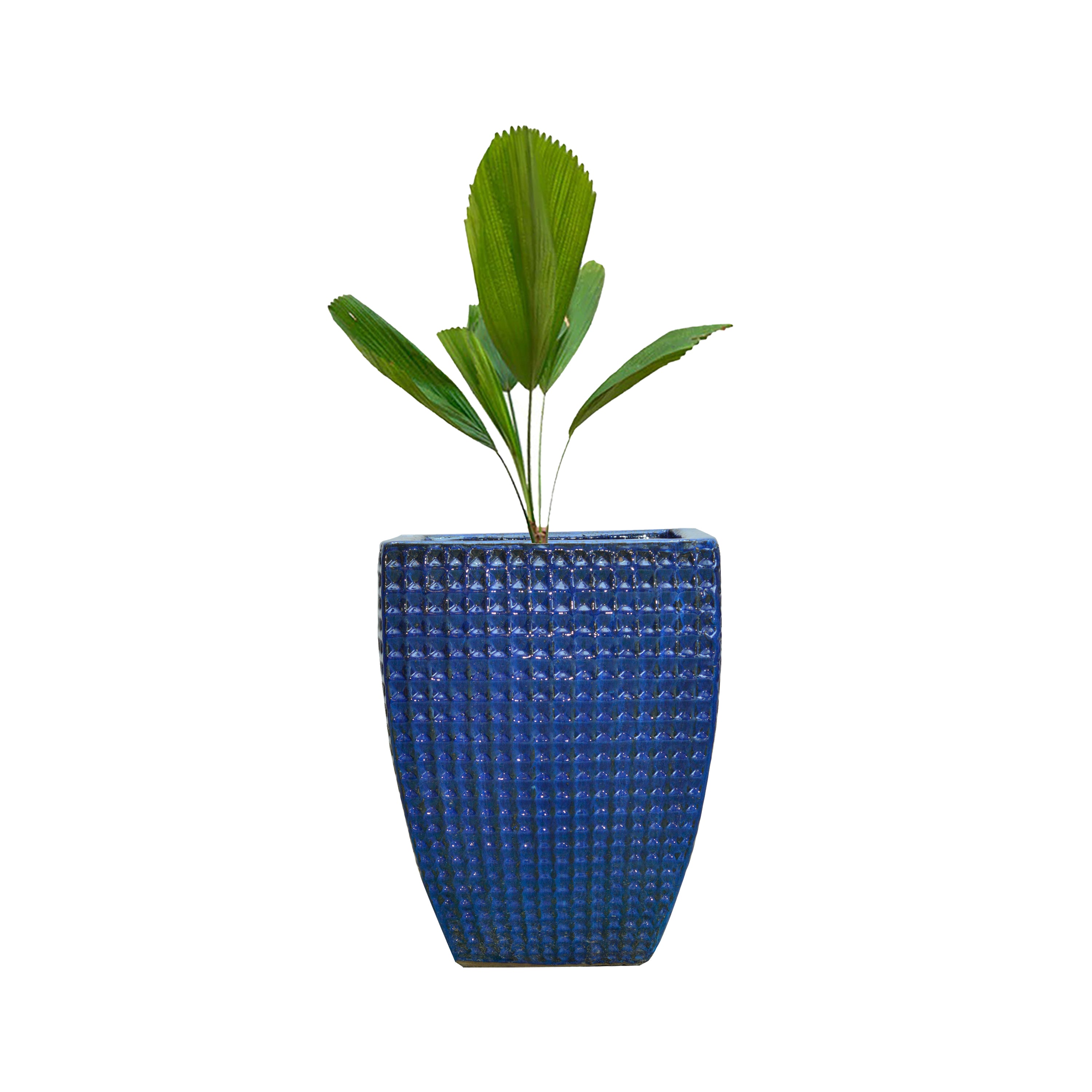 Irina Ceramic Planter