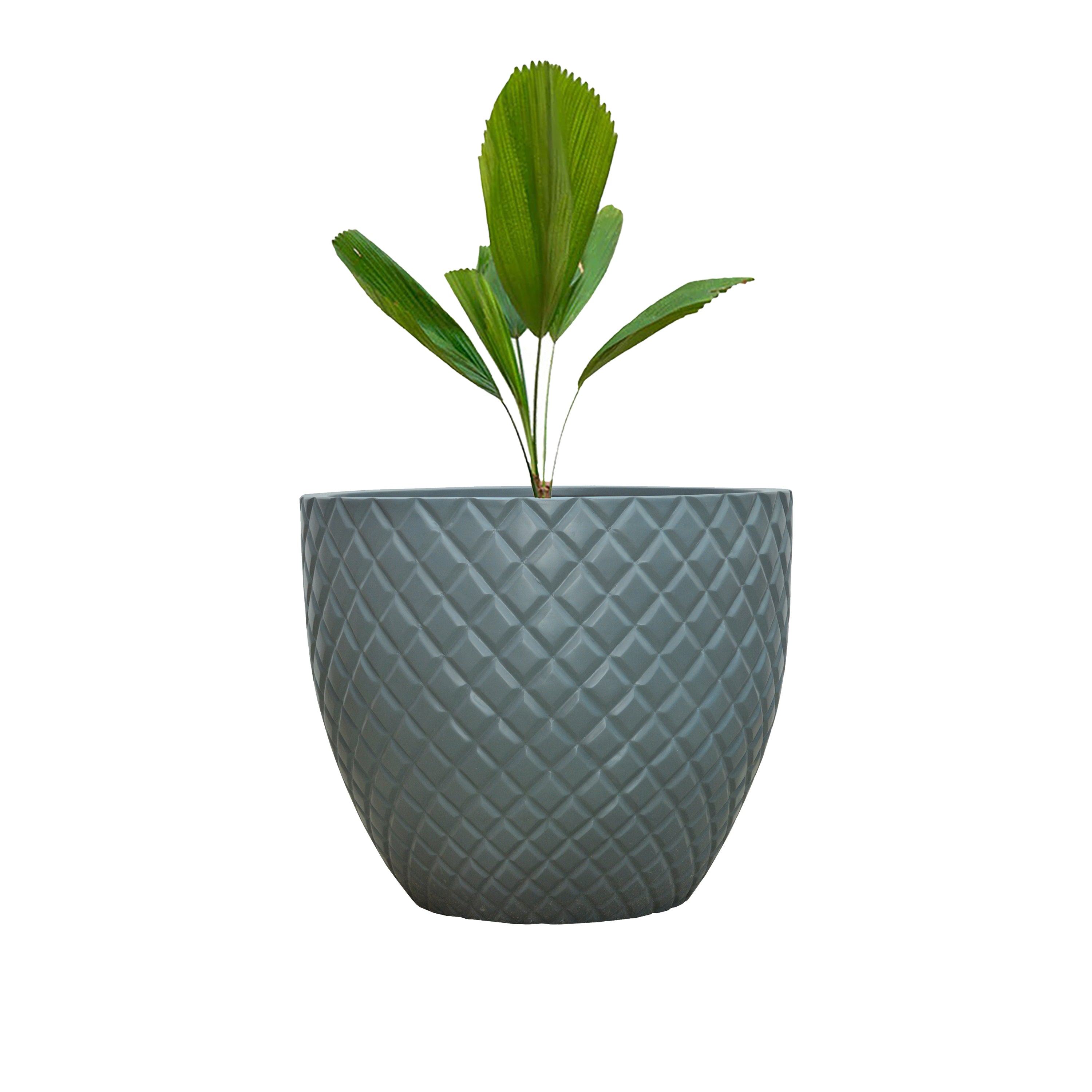 Vera Polystone Planter