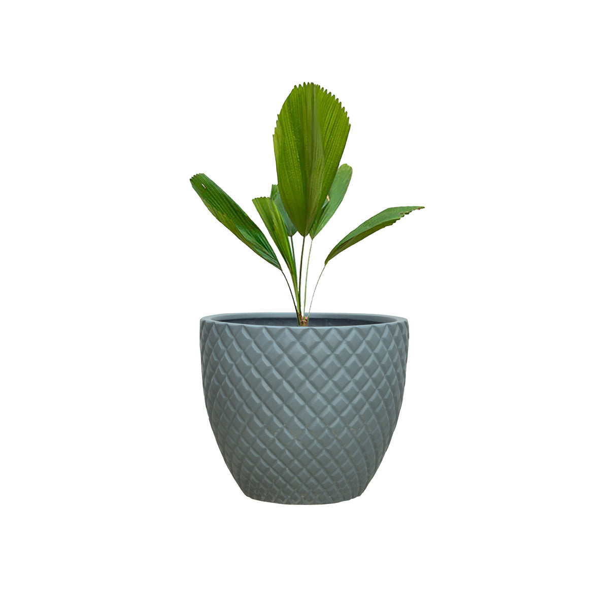 Vera Polystone Planter