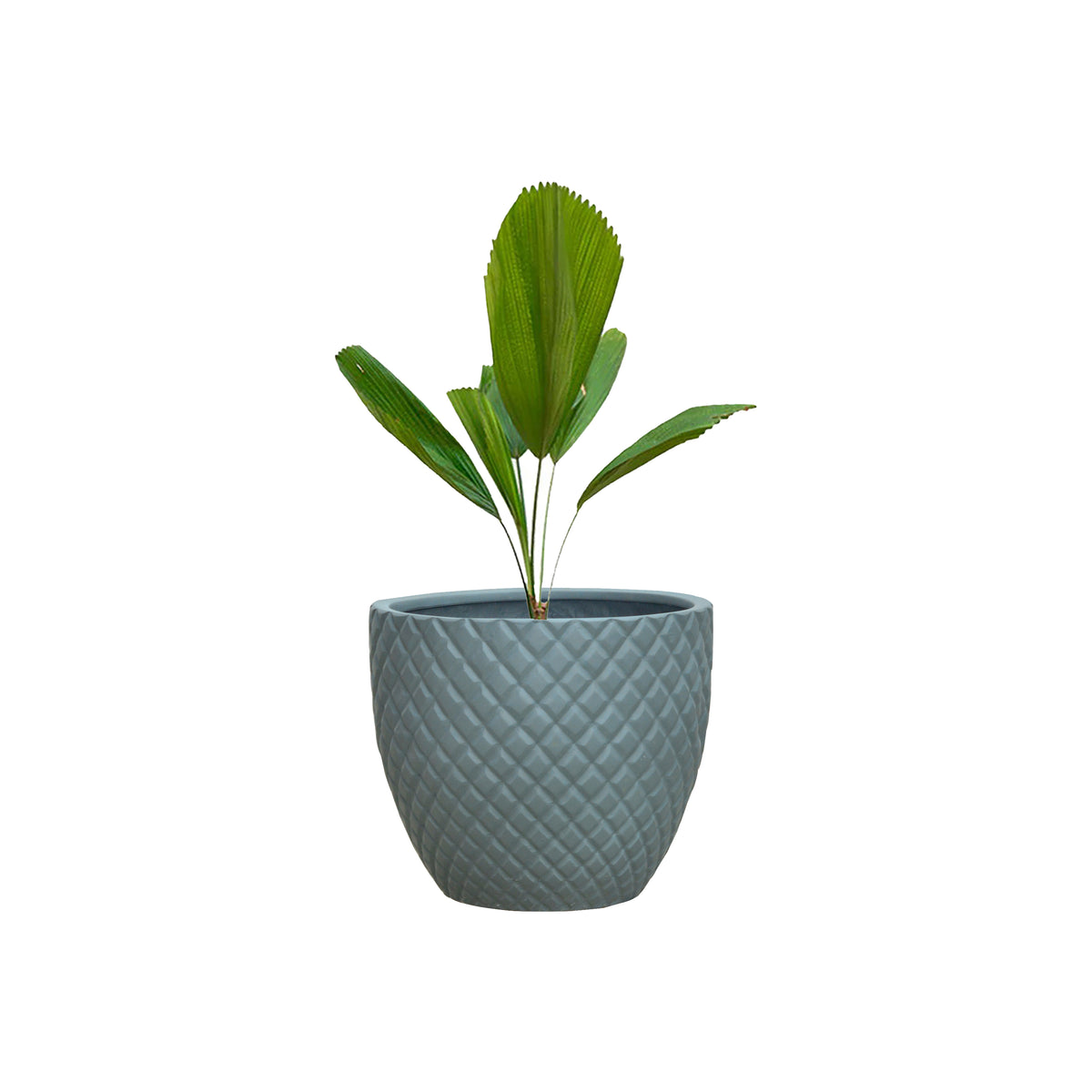 Vera Polystone Planter