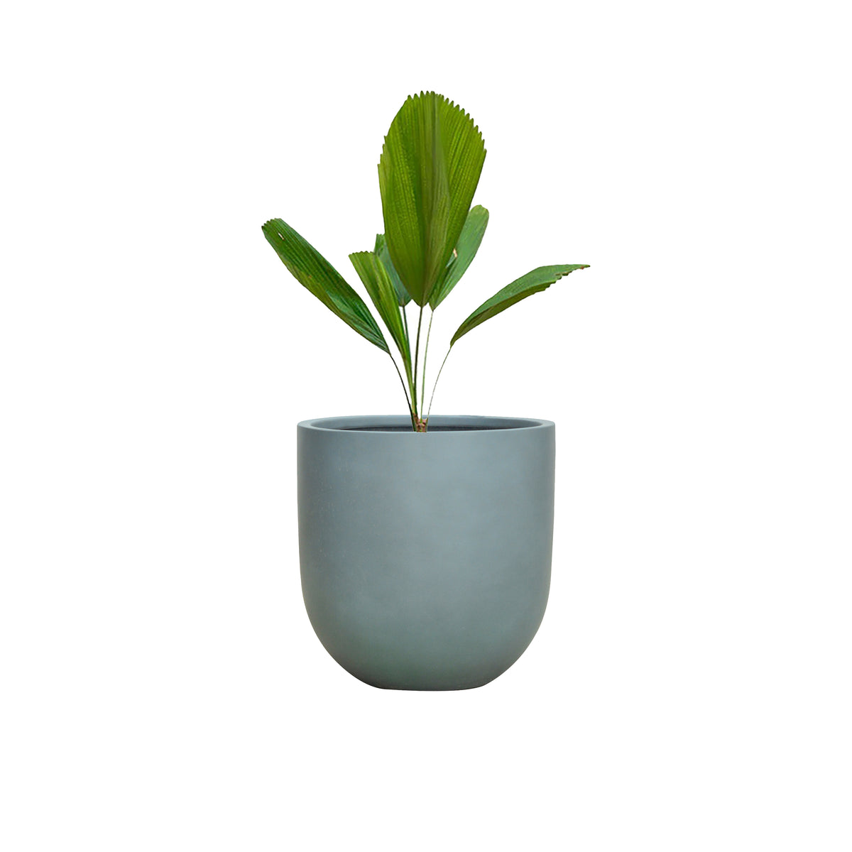 Ella Polystone Planter