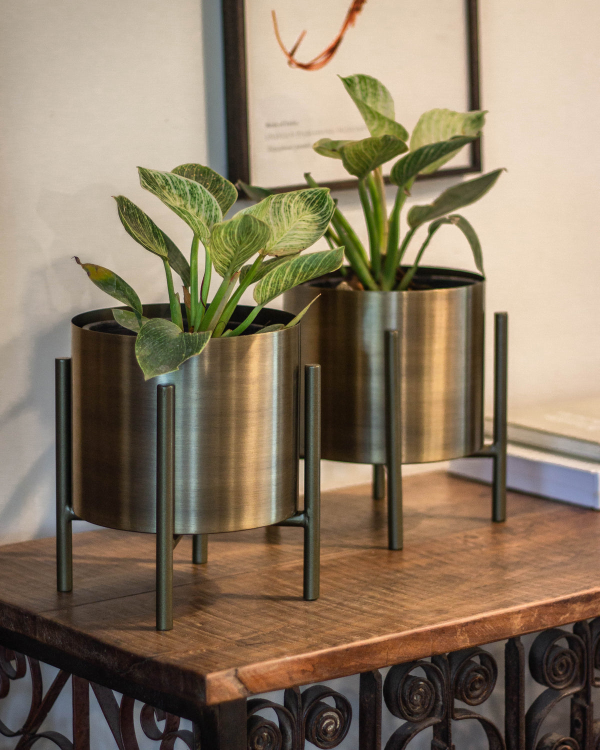 Gold Planter with stand