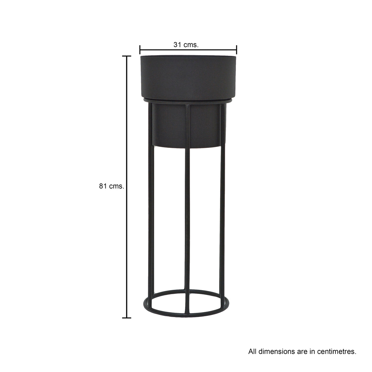 Iron Planter with Stand