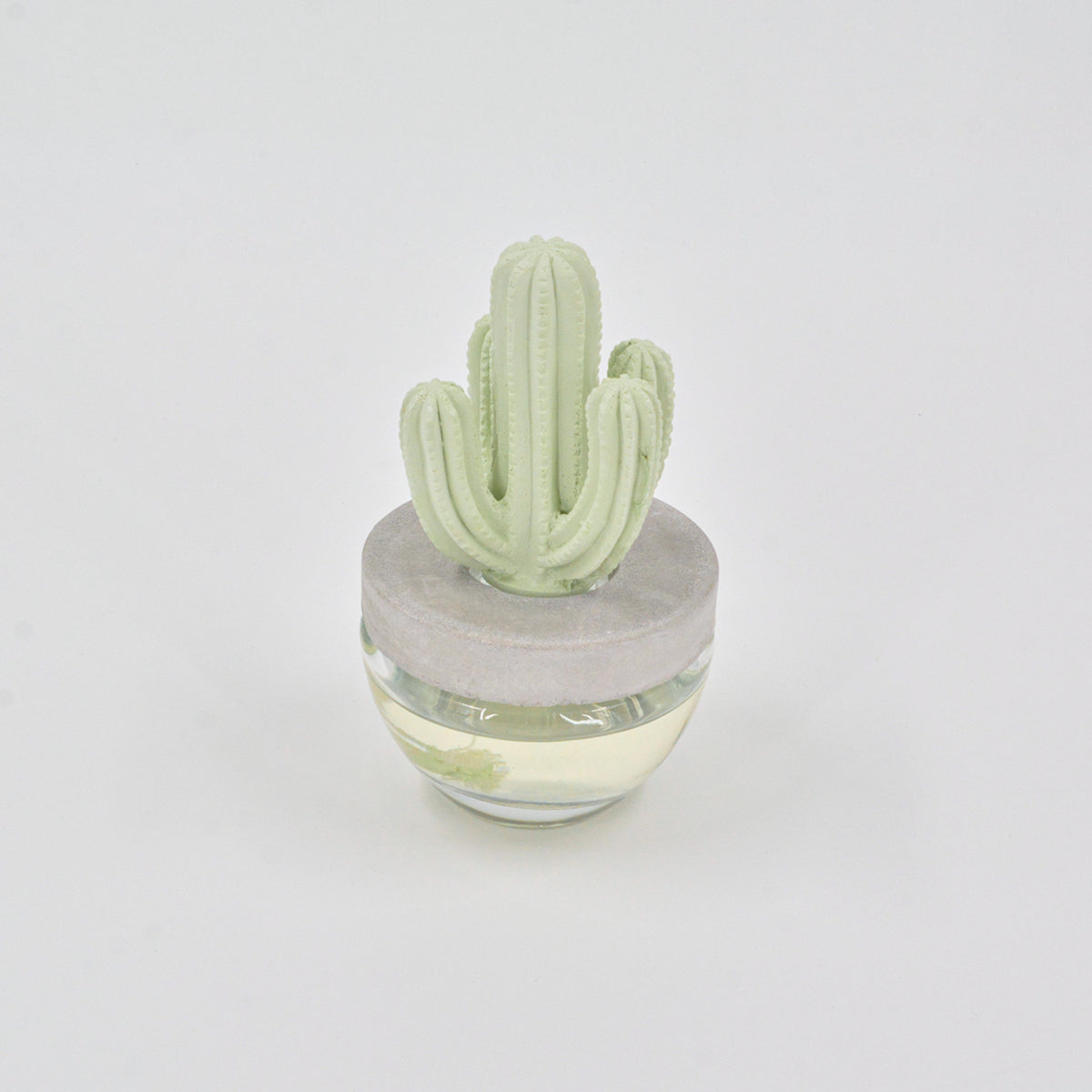 Cactus Diffuser Lavender - 100ml