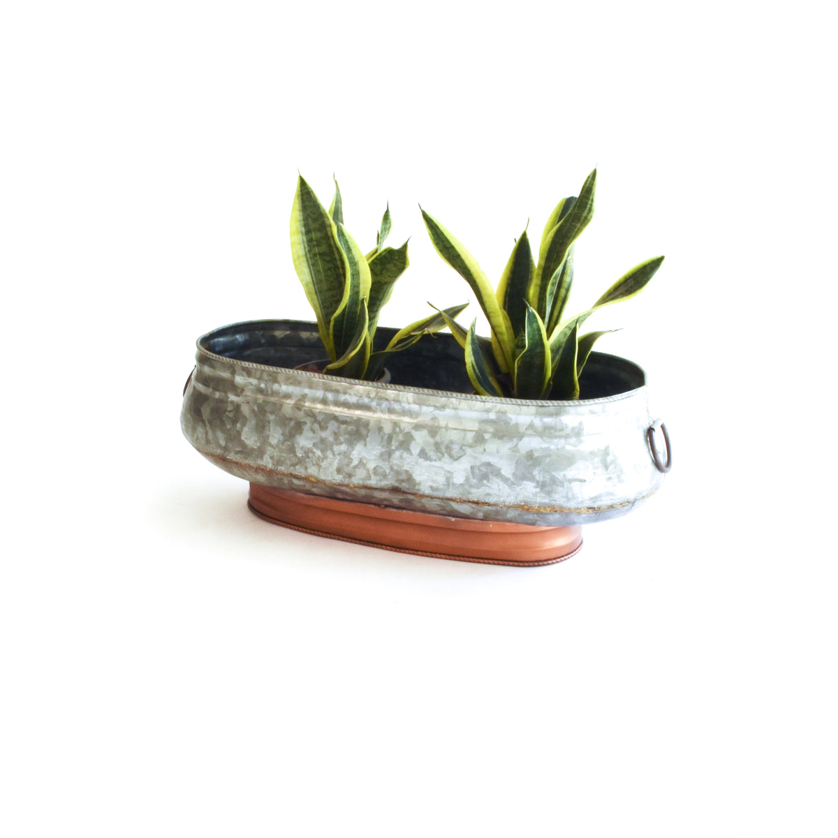 Alison planter