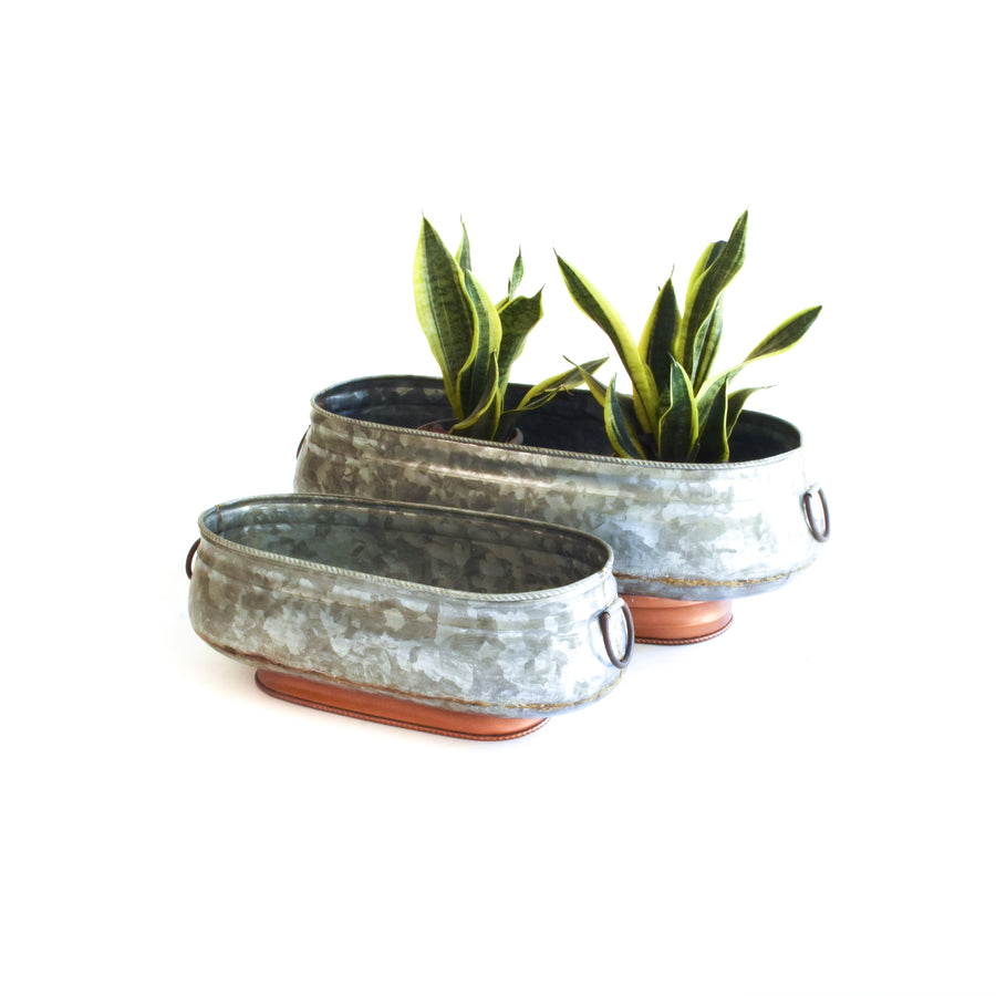 Alison planter