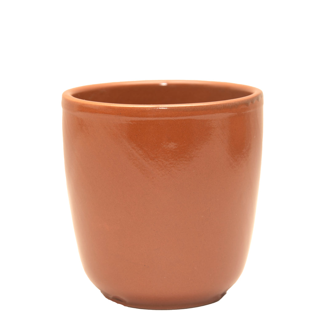 Honey Conical Cup