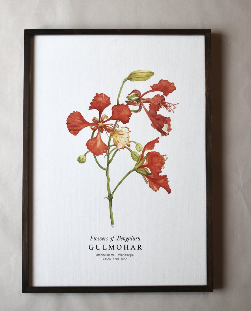 Wooden Picture Frame