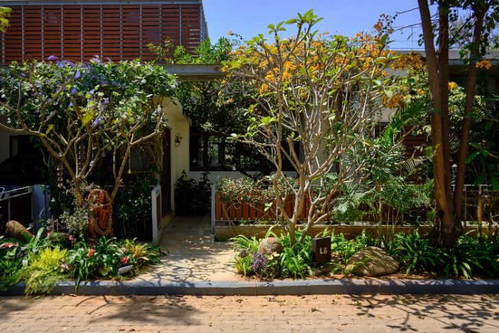 The Verdant Bungalow