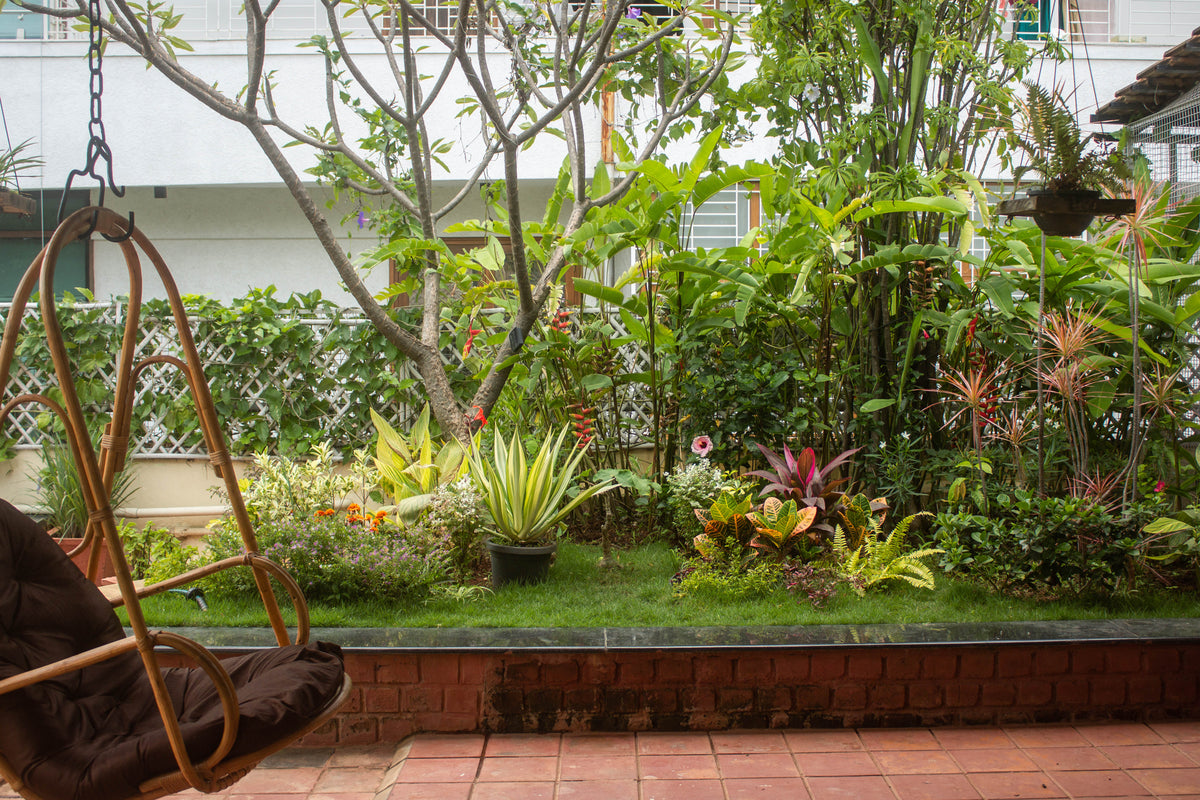 The Green Oasis