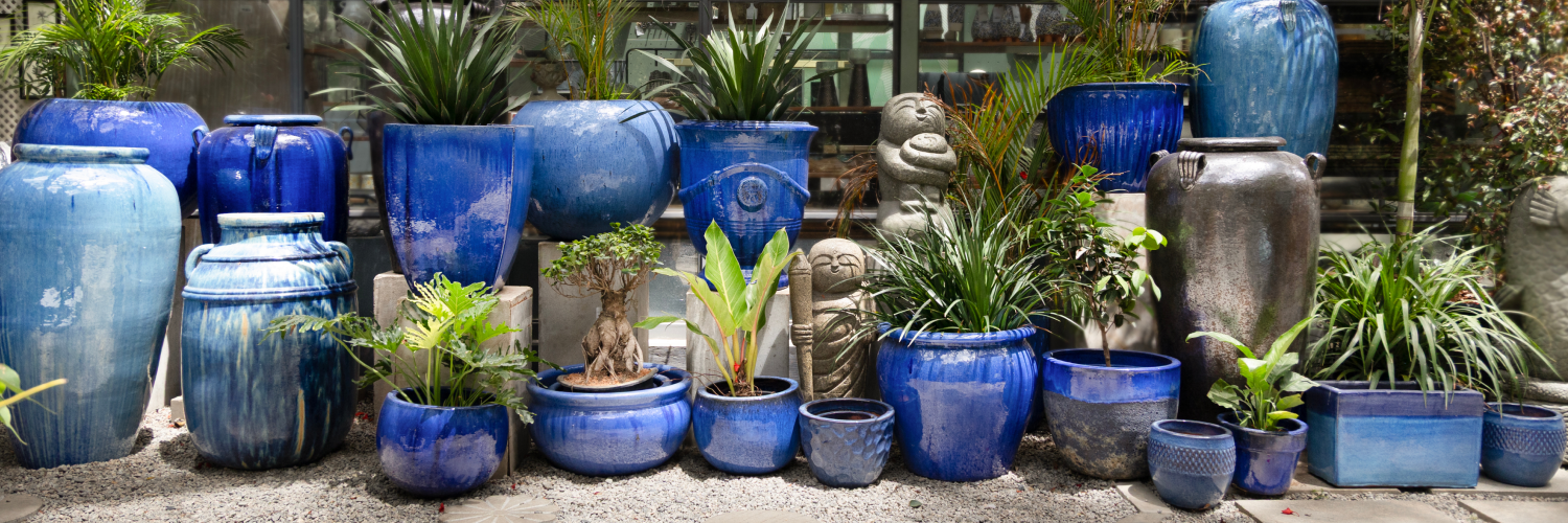 Pots & Planters