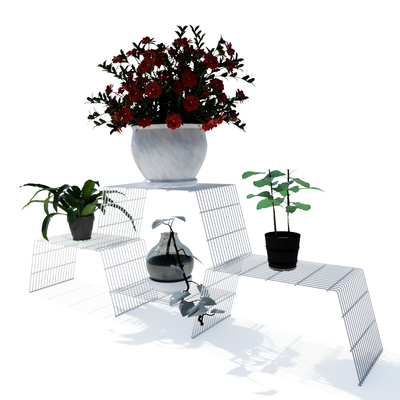 Large Grandis (Set of 3)
