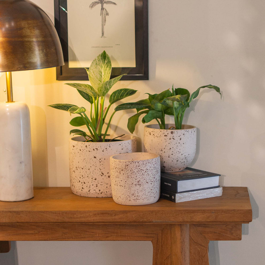 Brown Cylinder Terrazzo Planter