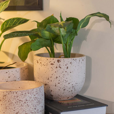 Brown Eggshell Terrazzo Planter