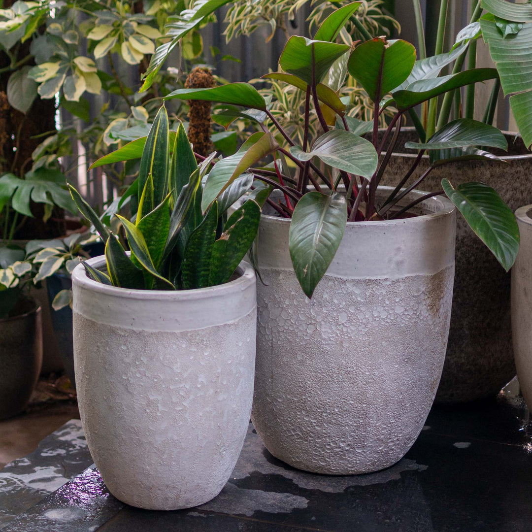 Acardia Ceramic Pot White