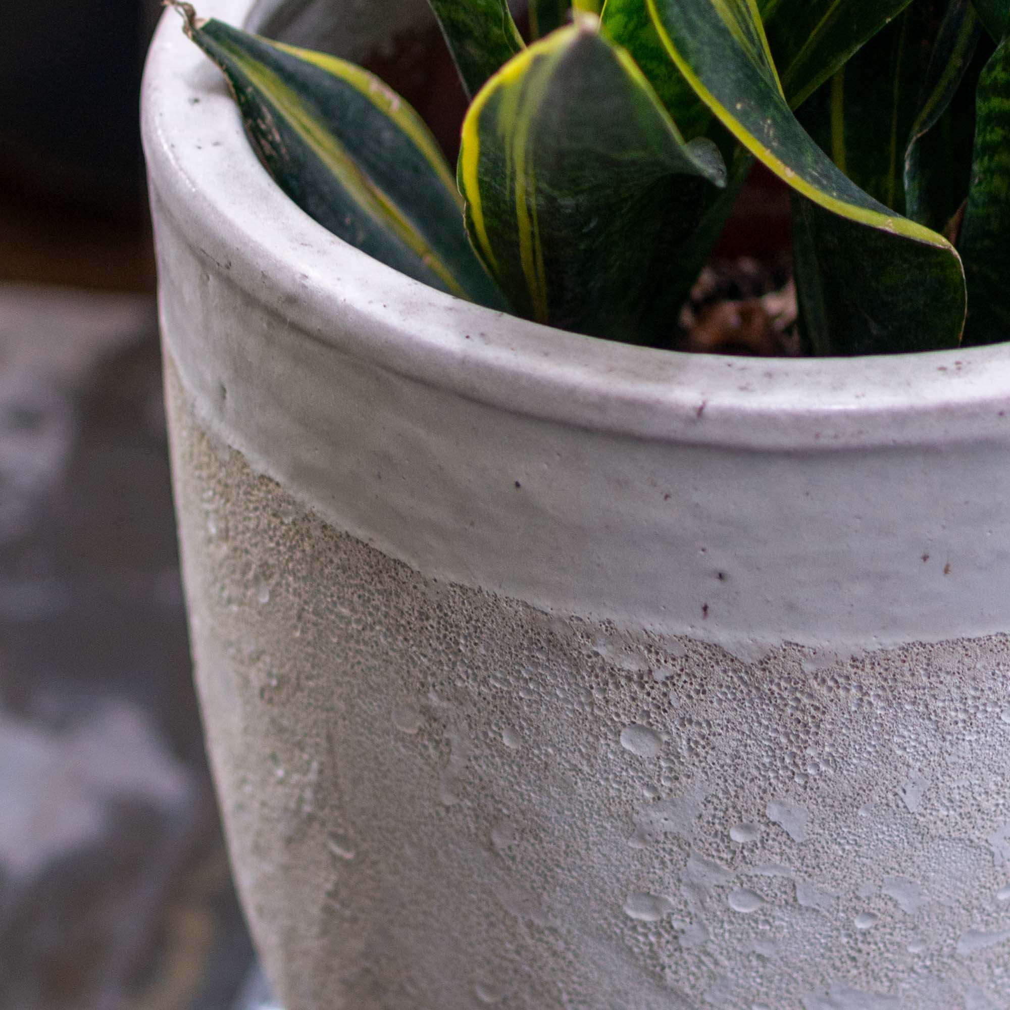 Acardia Ceramic Pot White