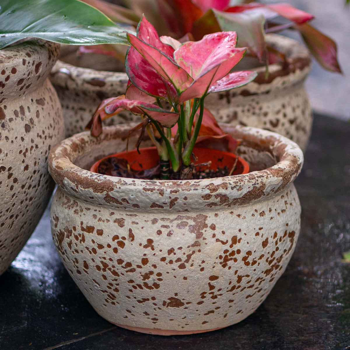 Carter Ceramic Antique Pot