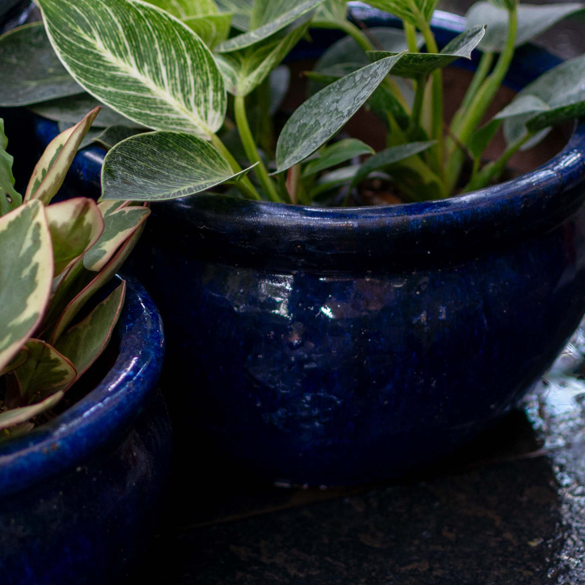 Vetle Ceramic Glazed Pot
