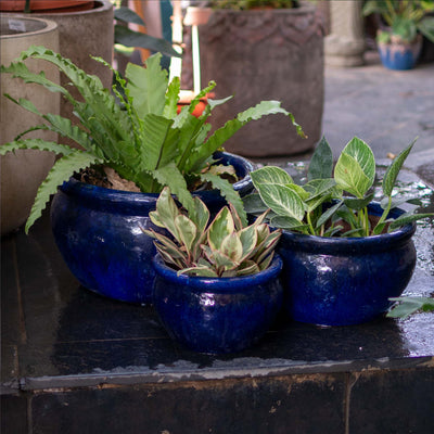 Deniz Ceramic Glazed Pot