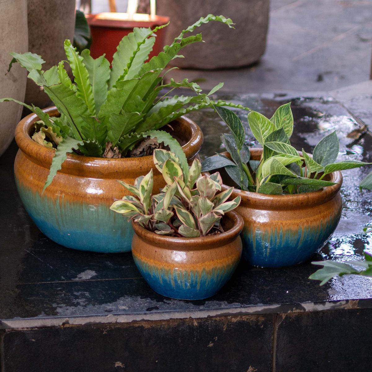 Vetle Glazed Pot - Yellow Jade