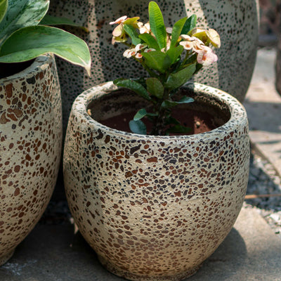 Raay Elongated Ceramic Antique Pot