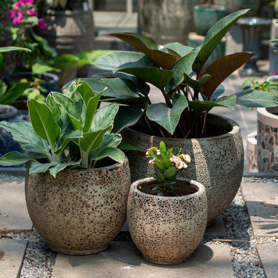 Raay Elongated Ceramic Antique Pot