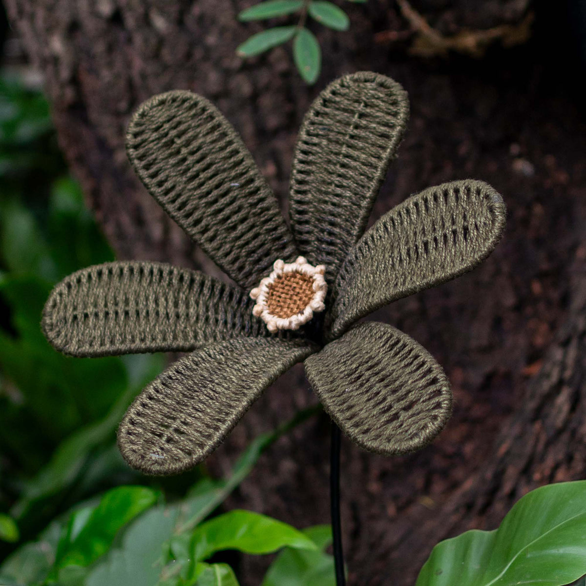 Bloom Patio Olive Flower Classic