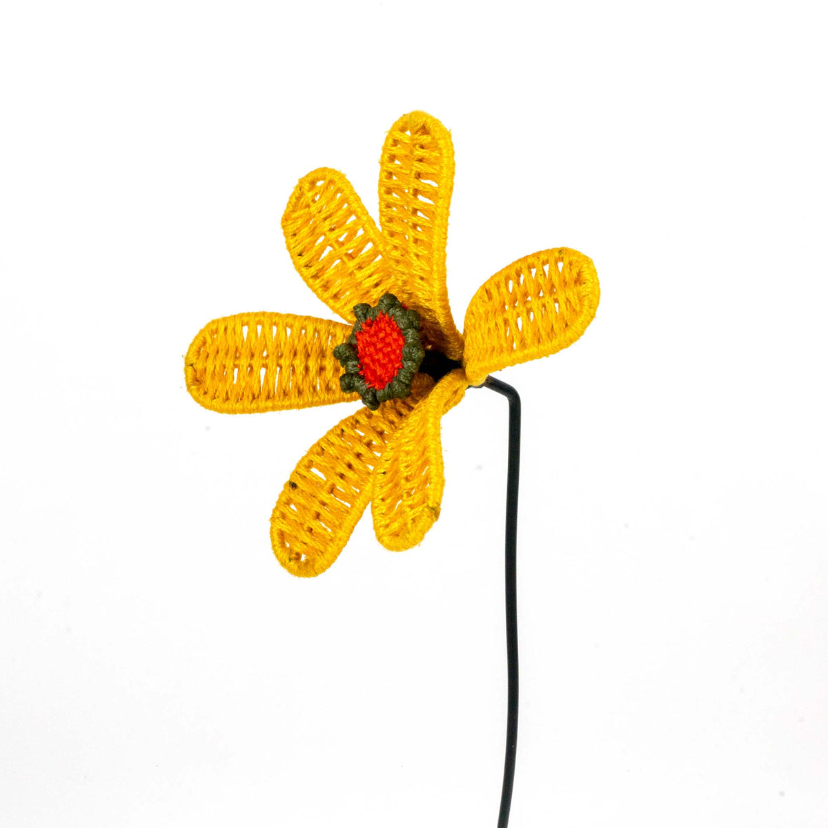 Bloom Patio Marigold Flower Classic