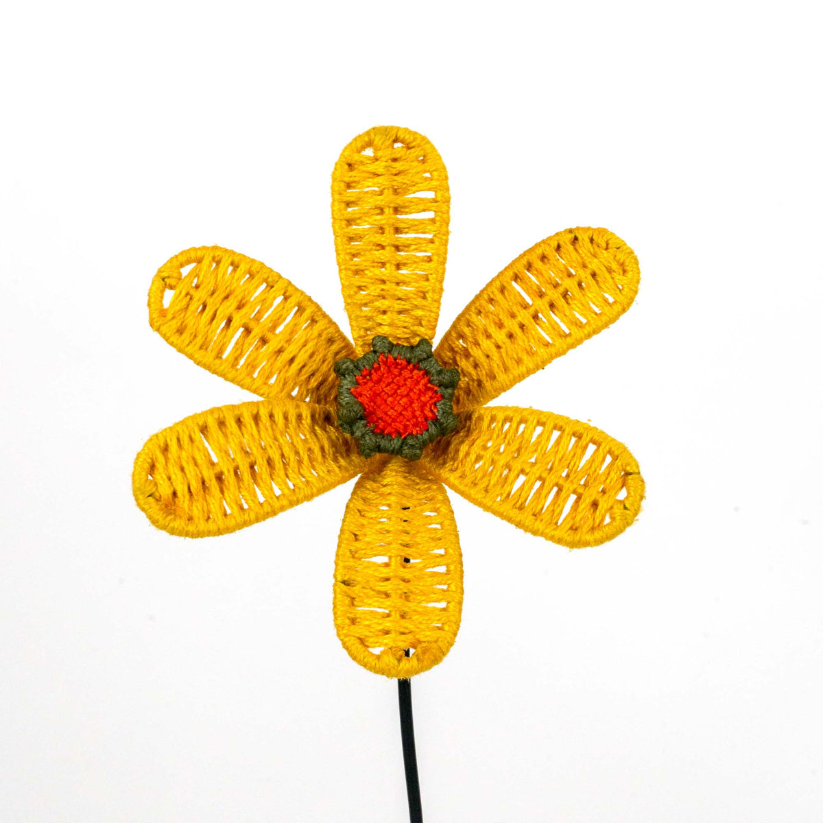 Bloom Patio Marigold Flower Classic
