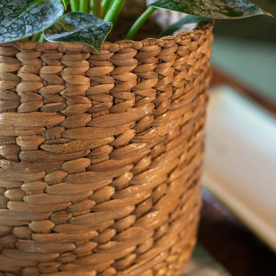 Water Hyacinth Round Planter