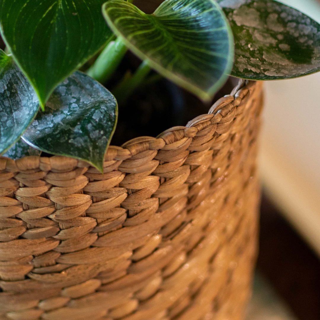 Water Hyacinth Round Planter