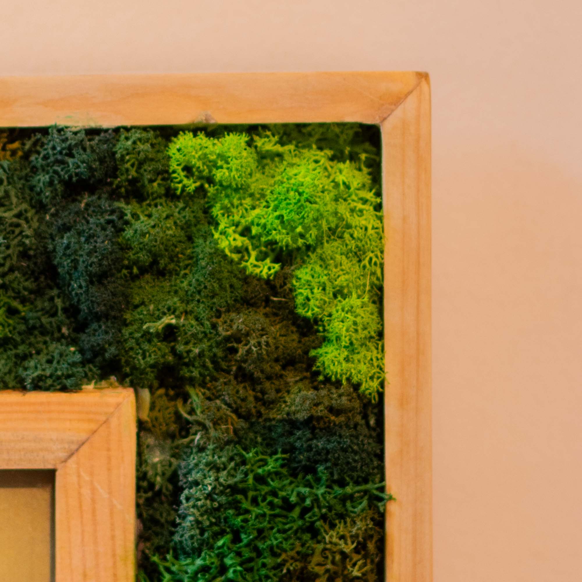 Aries Moss Frame With Key Holder