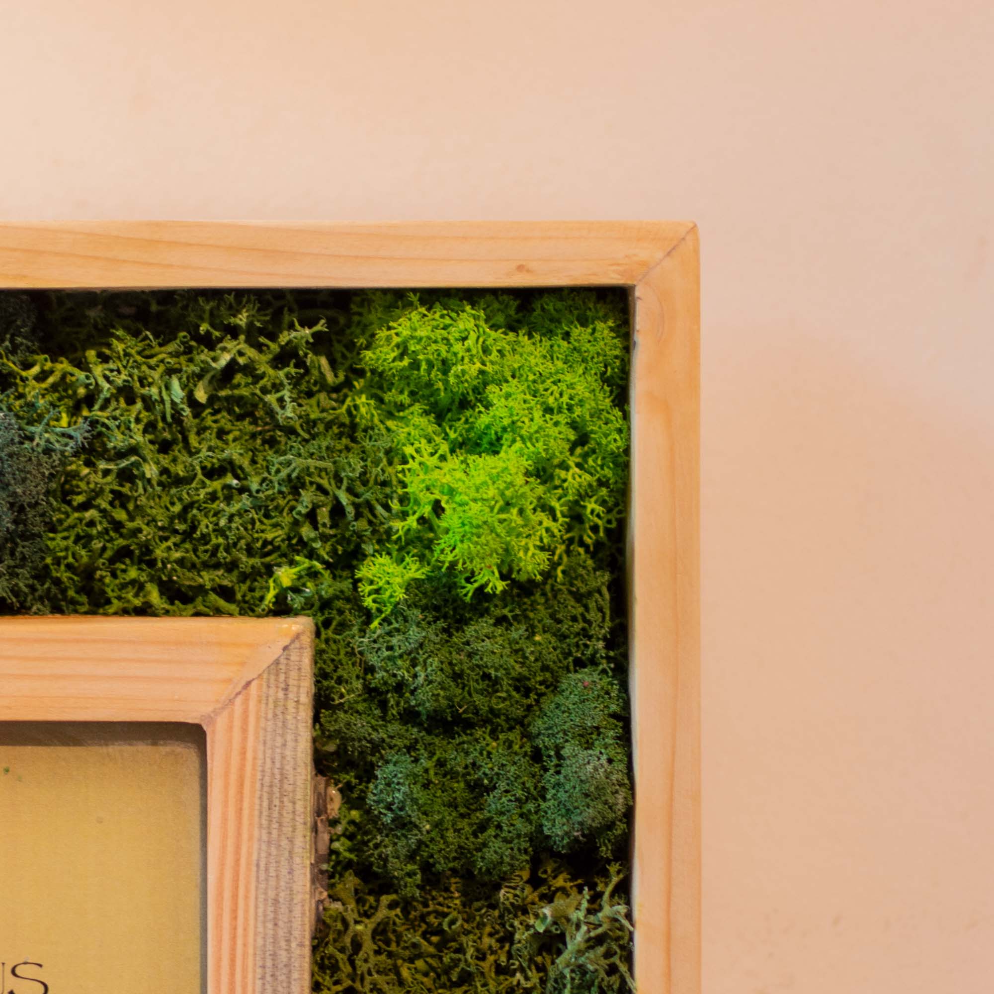 Taurus Moss Frame With Key Holder