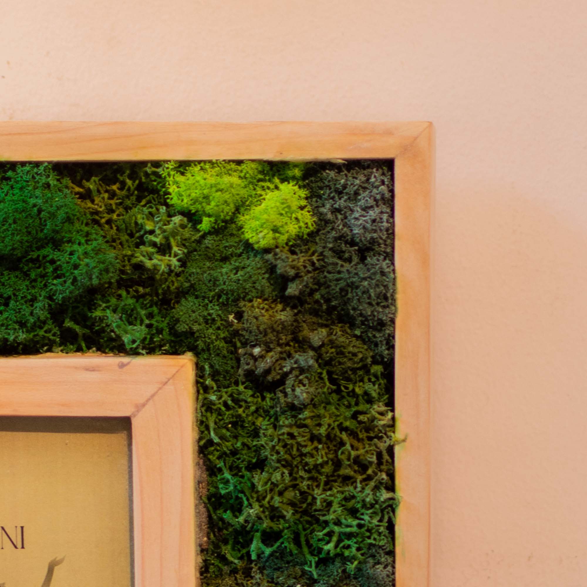 Gemini Moss Frame With Key Holder