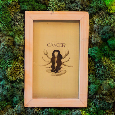 Cancer Moss Frame With Key Holder