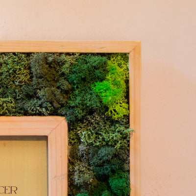 Cancer Moss Frame With Key Holder