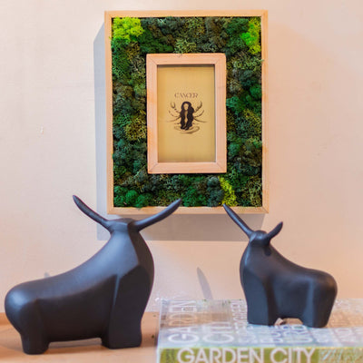 Cancer Moss Frame With Key Holder