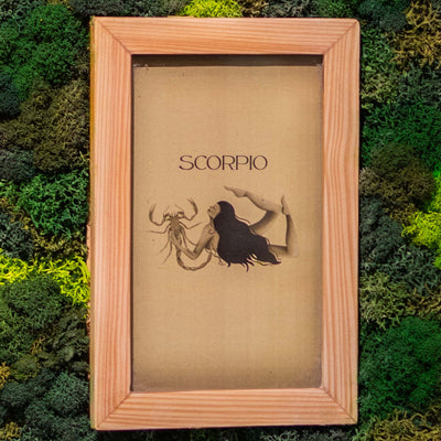 Scorpio Moss Frame With Key Holder