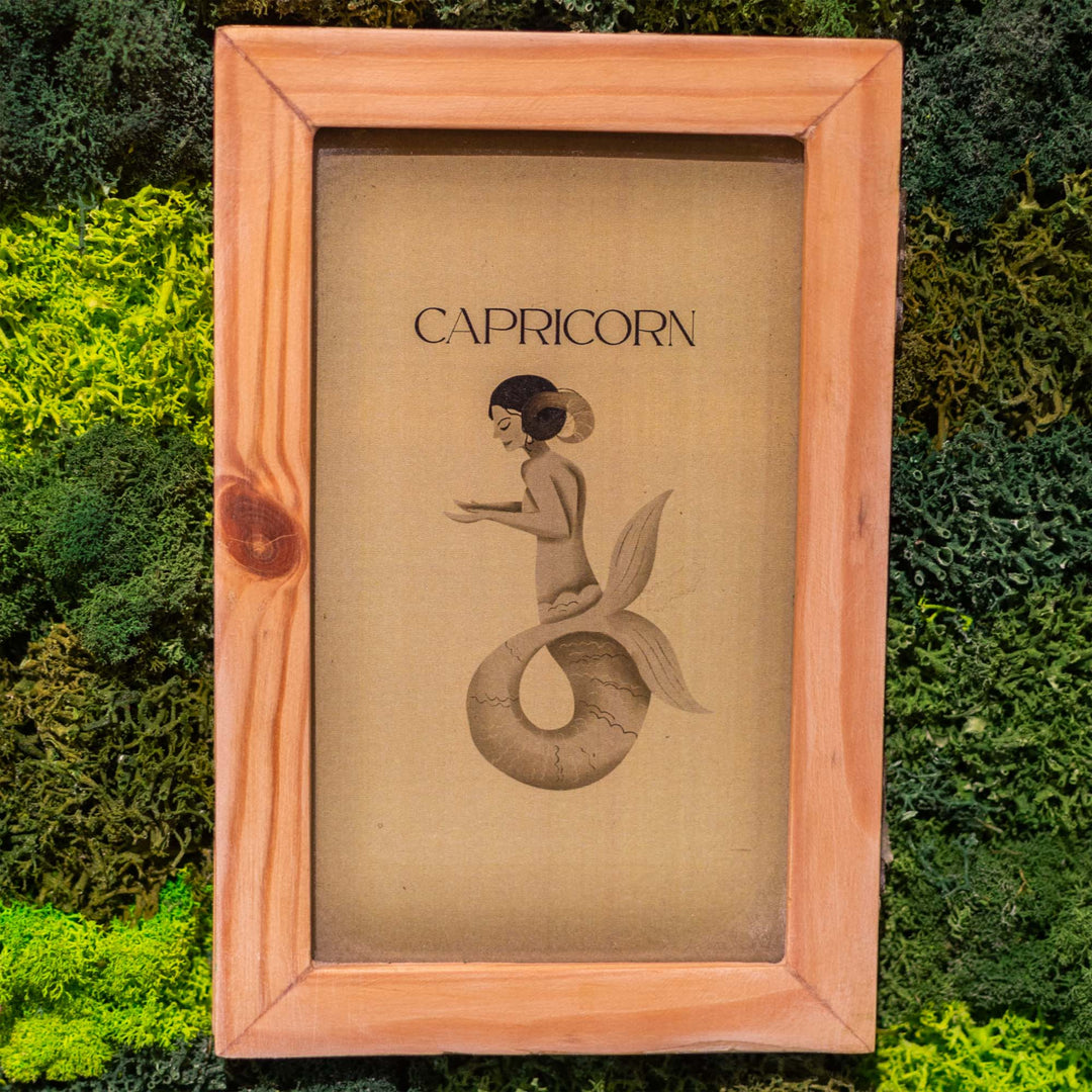 Capricorn Moss Frame With Key Holder