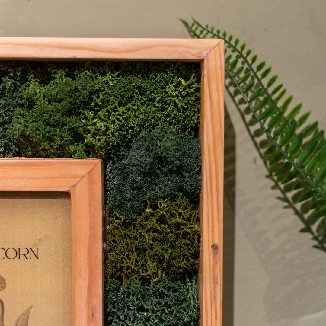 Capricorn Moss Frame With Key Holder