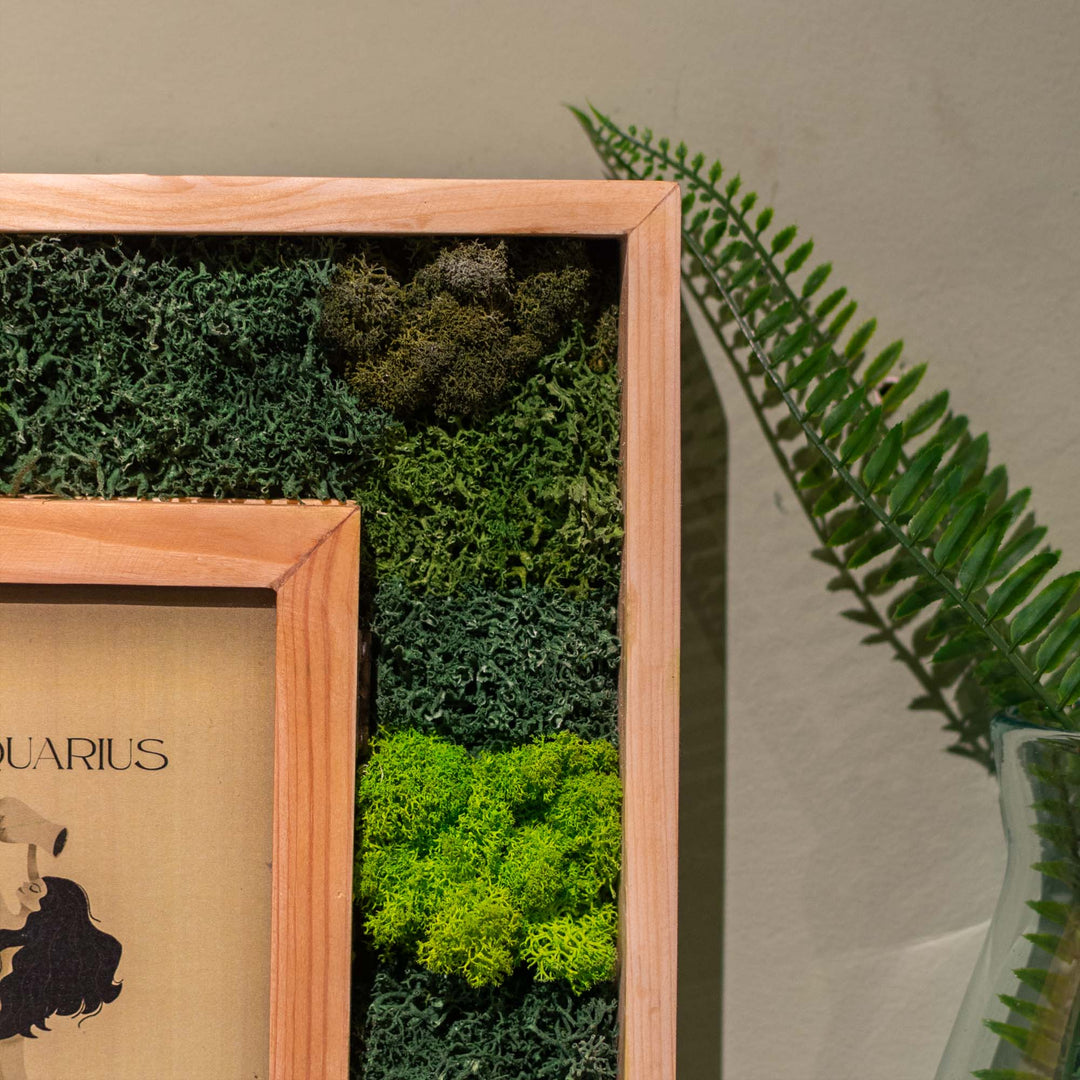 Aquarius Moss Frame With Key Holder