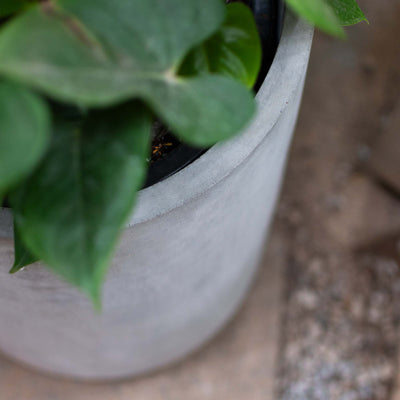 U Shape Cement Pot