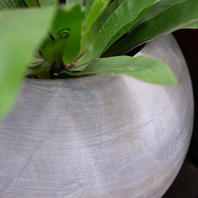 Spherical Pot